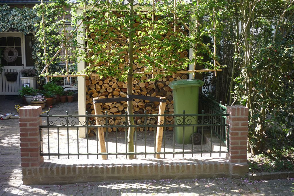 Sierhek op muurtje in Cuijk