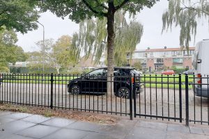 sierhek tuin
