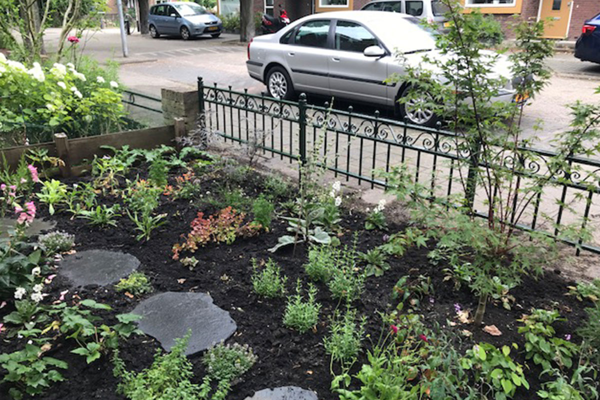 Sierhekwerk voor voortuin in zaandam