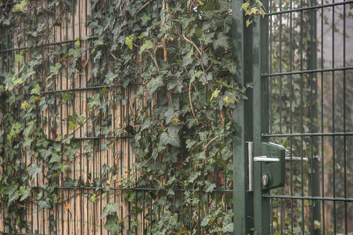 Oprit afrasteren met groen