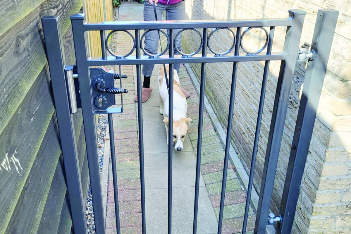 Looppoort laten plaatsen in Noord-Brabant